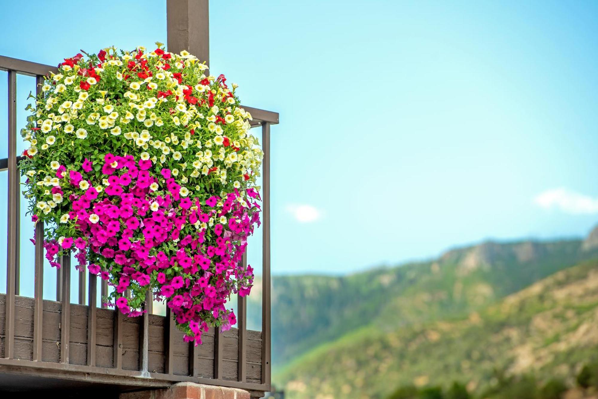 Silver Spruce Inn Glenwood Springs Zewnętrze zdjęcie